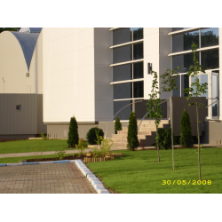 Amenajare spatiu verde