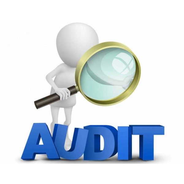 Audit spații verzi