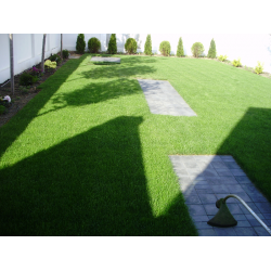 Intretinere spatiu verde