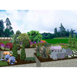 Proiectare spatiu verde